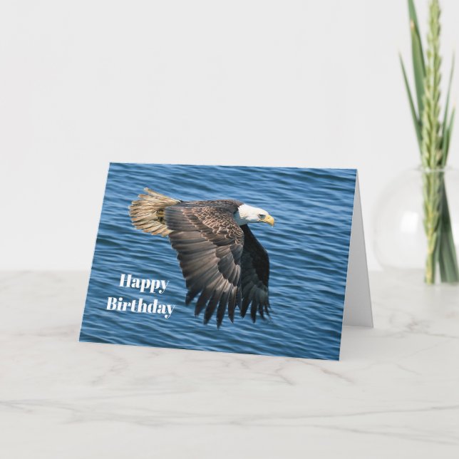 Carte Photo de l'aigle à tête blanche (Devant)