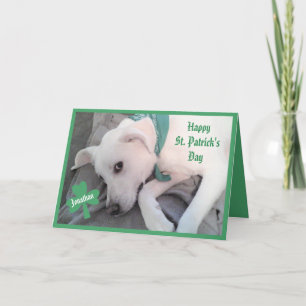 Carte Photo de mignonne Lazy Dog Funny St. Patrick's Day