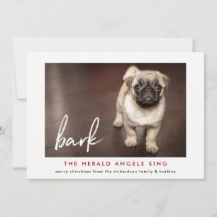Carte photo de Noël amusante du chien Red
