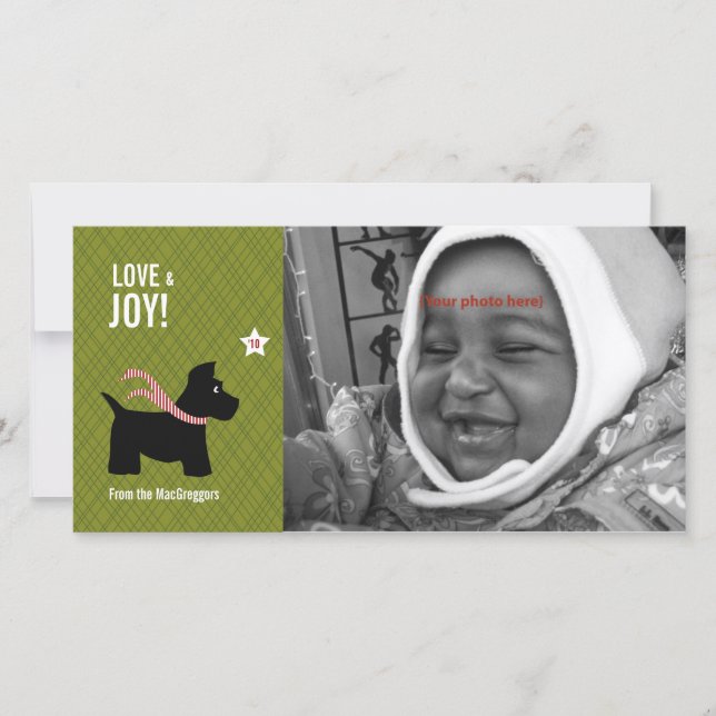 Carte photo de Noël de Scottie (Devant)