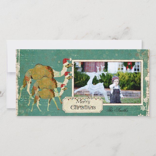 Carte photo de Noël Dreamel Camels (Devant)