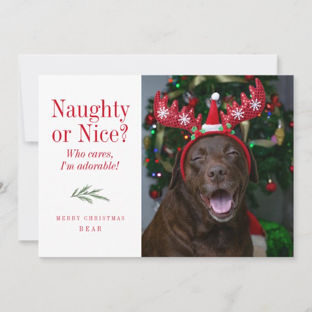 Carte photo de Noël drôle Naughty ou Nice Pet (Devant)
