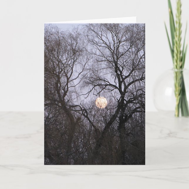 Carte Photo de pleine lune dans des arbres nus (Devant)