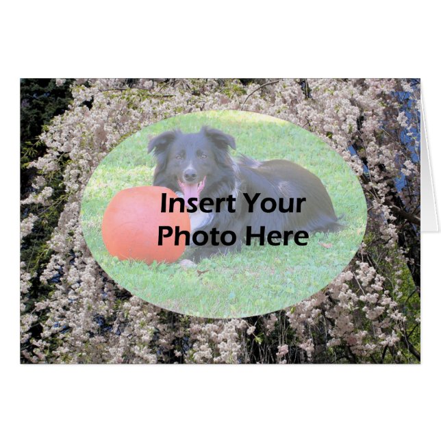 Carte photo De Printemps De Fleurs Cascade (Devant horizontal)