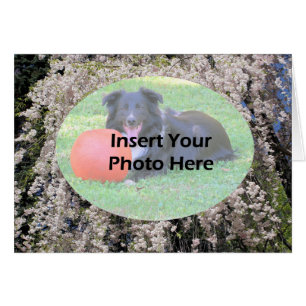 Carte photo De Printemps En Cascade