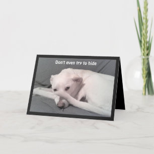 Carte Photo de Sad Depressed Dog 40th Birthday Grey