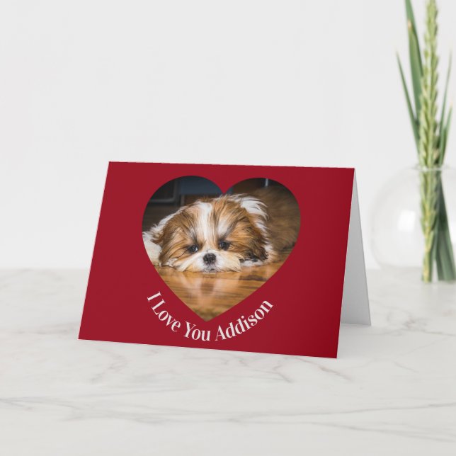 Carte Photo de shih tzu mignon avec cœur de la Saint-Val (Devant)