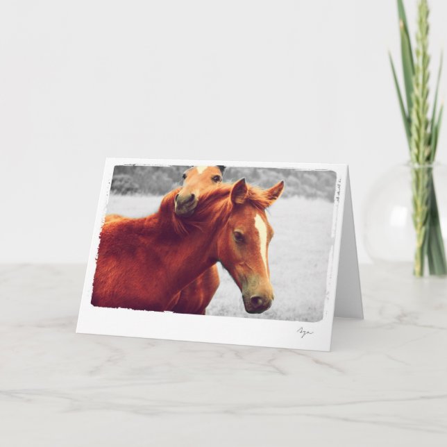 Carte Photo des chevaux (Devant)