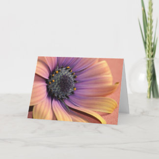 Carte Photo & design de Charmaine French-Allaka 112010