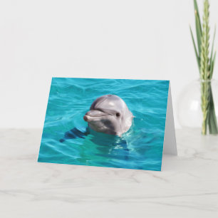 Carte Photo Dolphin Blue Water
