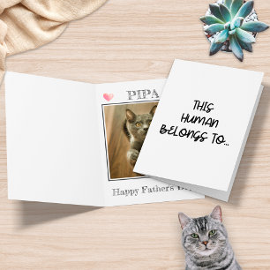 Carte Photo drôle de la part du chat à qui appartient ce