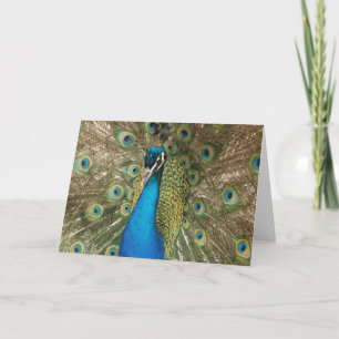 Carte Photo du magnifique paon avec plumes de propagatio