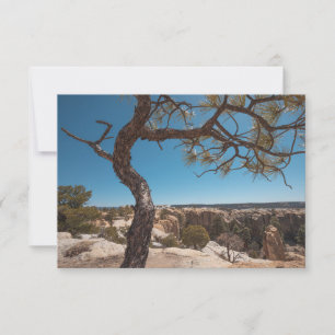 Carte photo du paysage du Nouveau-Mexique