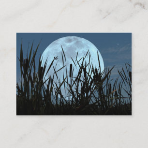 Carte photo entre de lune et de marais ATC