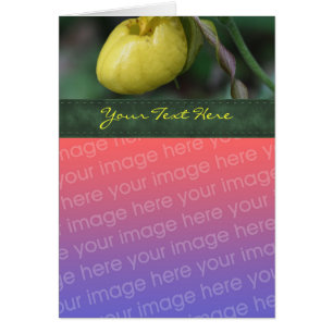 Carte photo Fleur de l'orchidée jaune Lady
