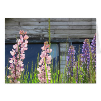 Carte photo floral