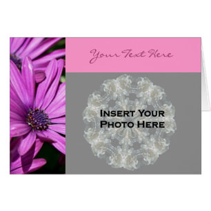 Carte photo floral de marguerites africaines viole