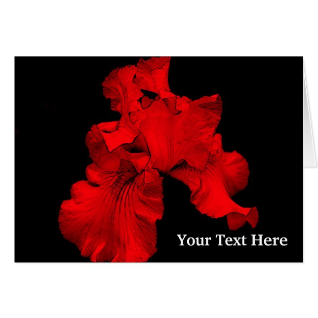 Carte photo floral Red Hot Daffodil (Devant horizontal)