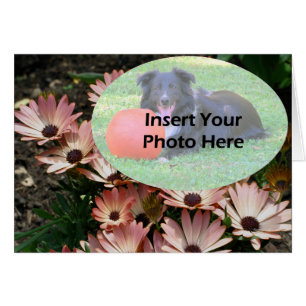 Carte photo floral rose africain