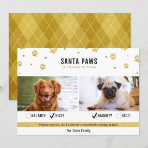 Carte photo Gold Naughty ou Nice Two Dog Christmas