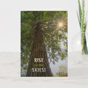 Carte Photo inspirante d'un arbre vers le ciel