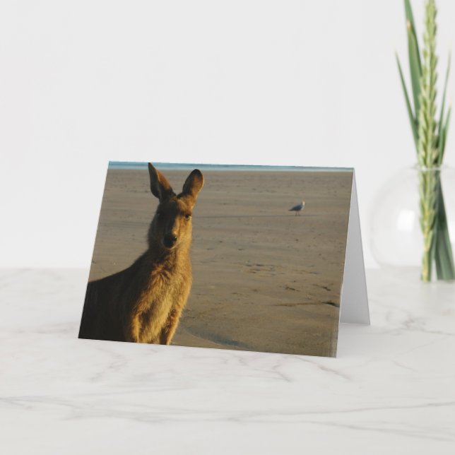 Carte photo Kangaroo (Devant)
