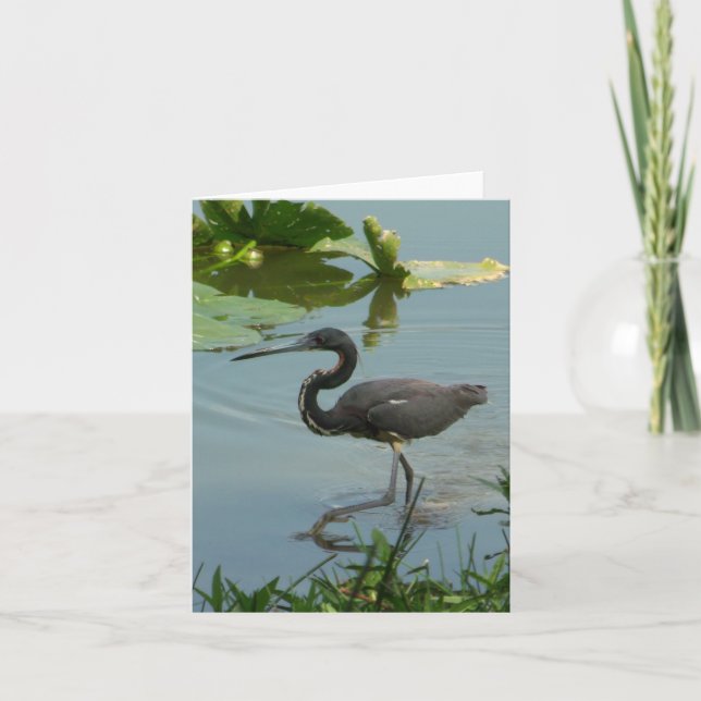Carte photo Little Blue Heron pliée Note (Devant)