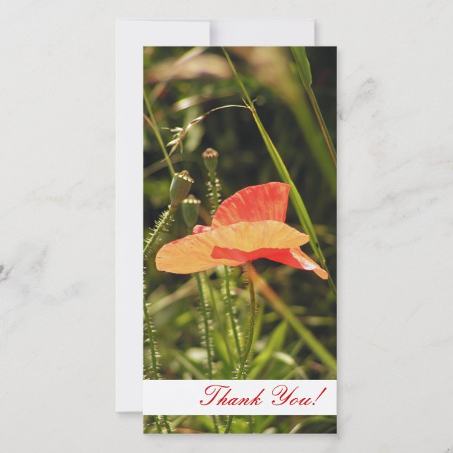 Carte photo Merci (Devant)