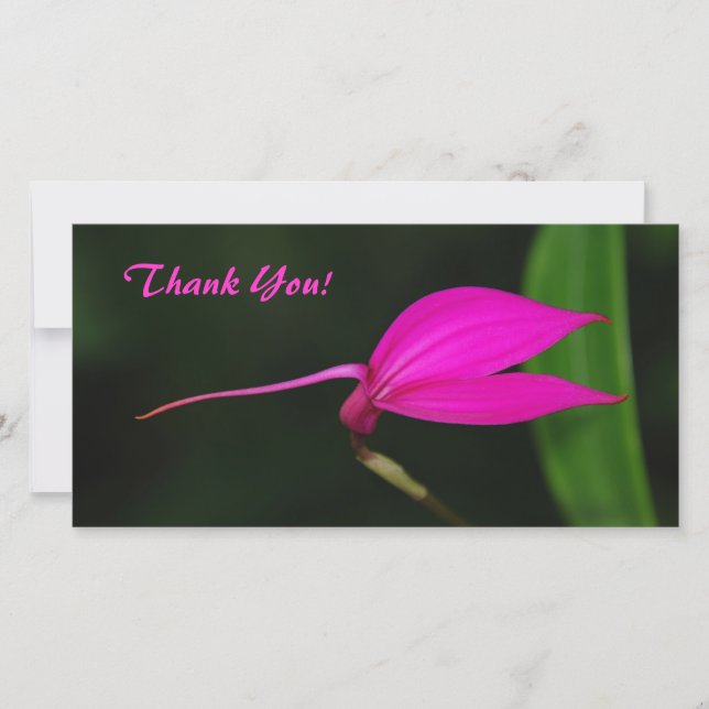 Carte photo Merci (Devant)