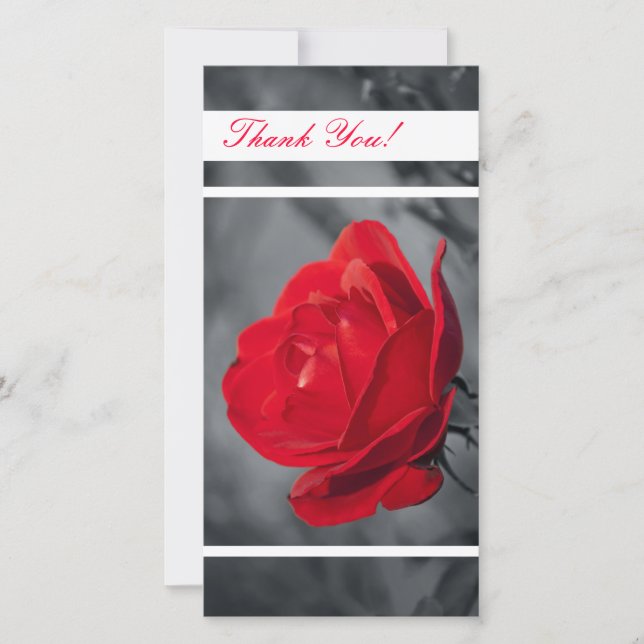 Carte photo Merci (Devant)