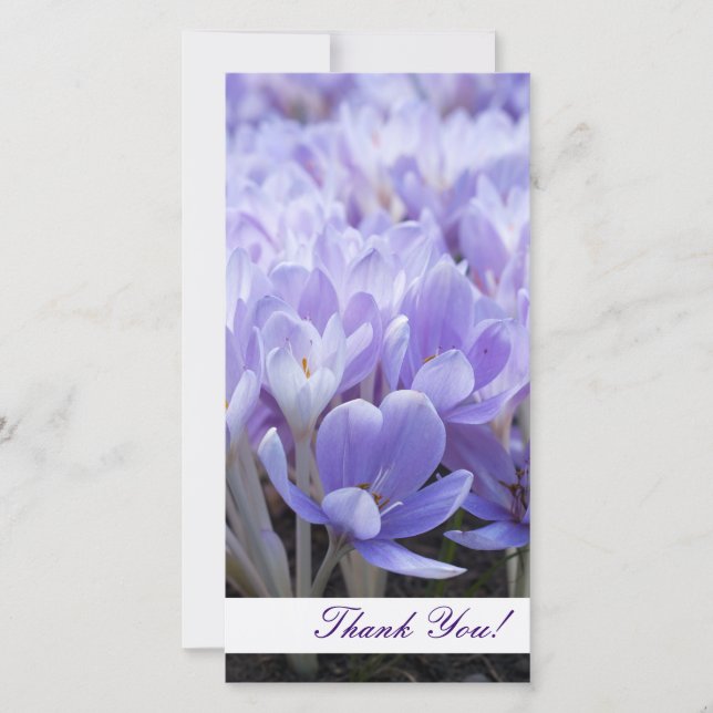 Carte photo Merci (Devant)