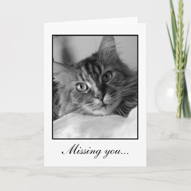 Carte Photo noire et blanche douce de chat tigré (Devant)