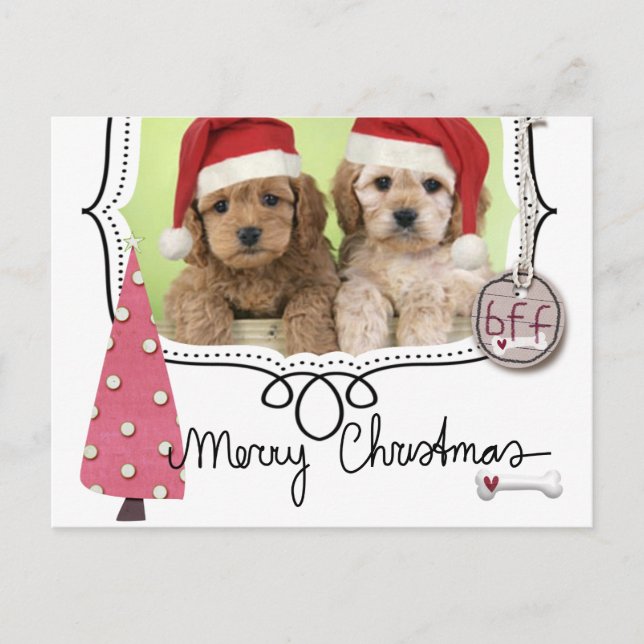 Carte photo Pet Christmas (Devant)