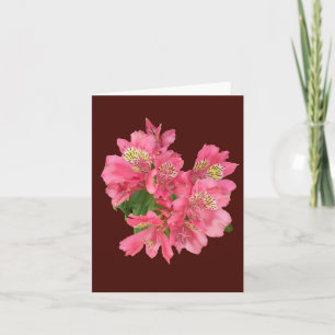 Carte photo pliée Alstroemeria rose