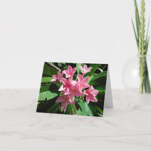 Carte photo Plumeria rose pliée