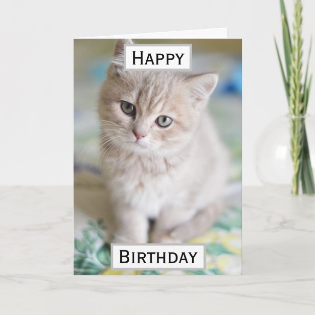 Carte Photo pour animaux de compagnie du meilleur papa c (Devant)