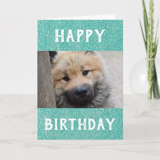 Carte Photo pour animaux de compagnie du meilleur papa d (Devant)