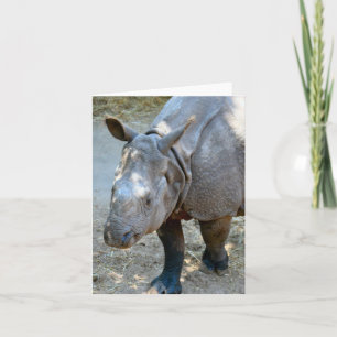 Carte photo rabattée Rhinoceros