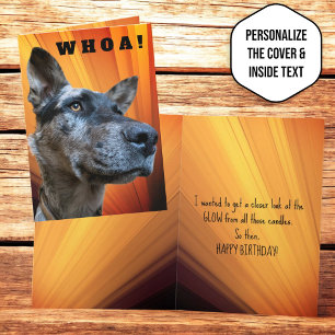 Carte Photo rapproché amusant d'un chien de troupeau