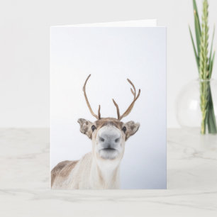 Carte Photo Reindeer