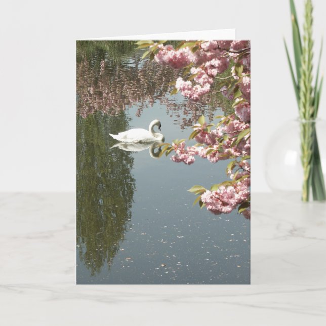 Carte Photo Swan (Devant)