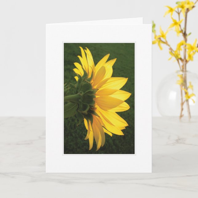 Carte photo tournesol (Fleur jaune)