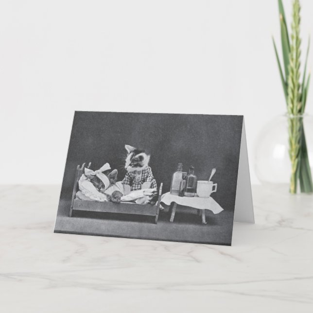 Carte Photo vintage - Soyez Bien Bientôt Chats, (Devant)