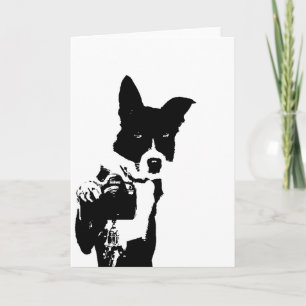 Carte Photographe canin