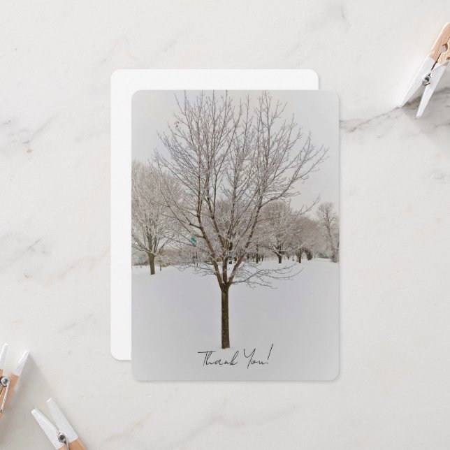 Carte Photographie d'arbres en hiver (Devant/Arrière en situation)