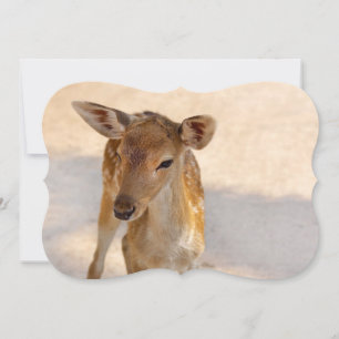 Carte Photographie de cerfs fantaisistes en forêt