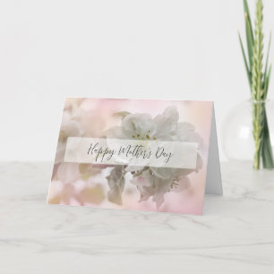 Carte Photographie de fleurs de pommier blanches pour la