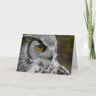 Carte Photographie de la Chouette à grande corne