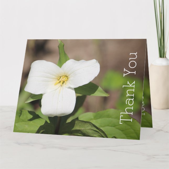 Carte Photographie de la fleur de Trillium blanc (Devant)
