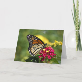 Carte Photographie de la nature